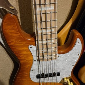 Bass Guitar Training