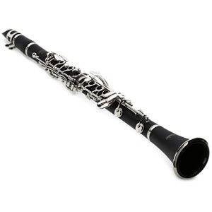Clarinet Training