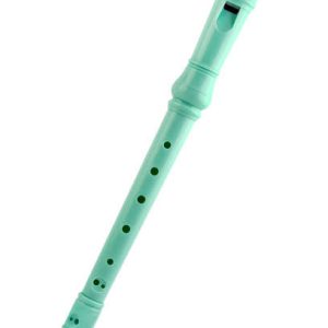 Recorder Training